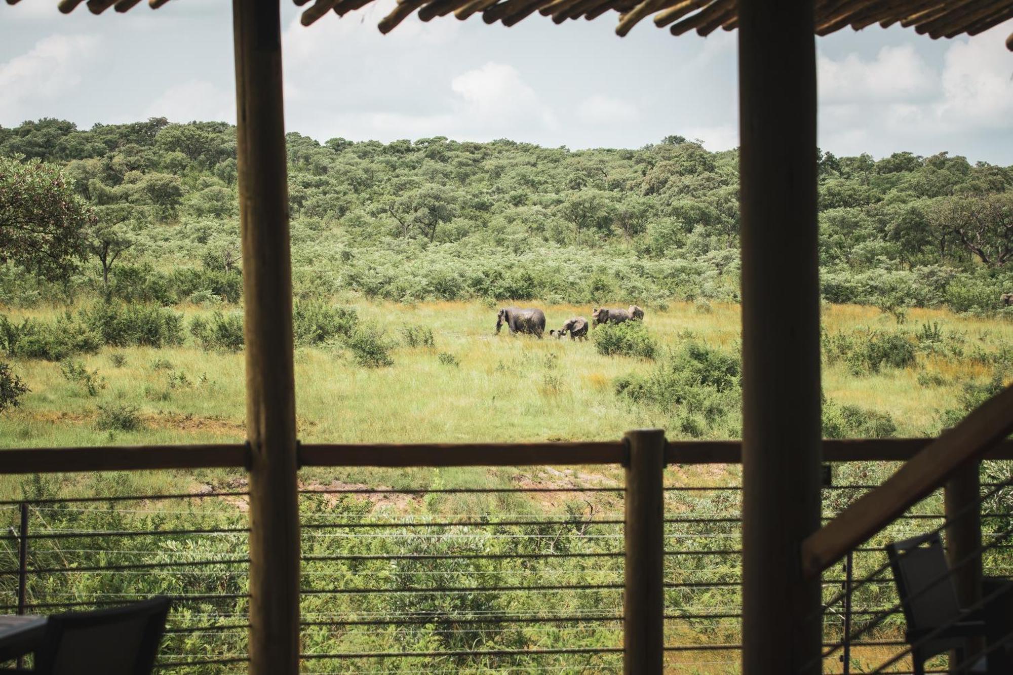 Mdluli Safari Lodge Hazyview Kültér fotó